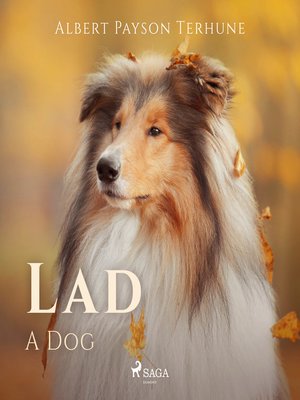 cover image of Lad